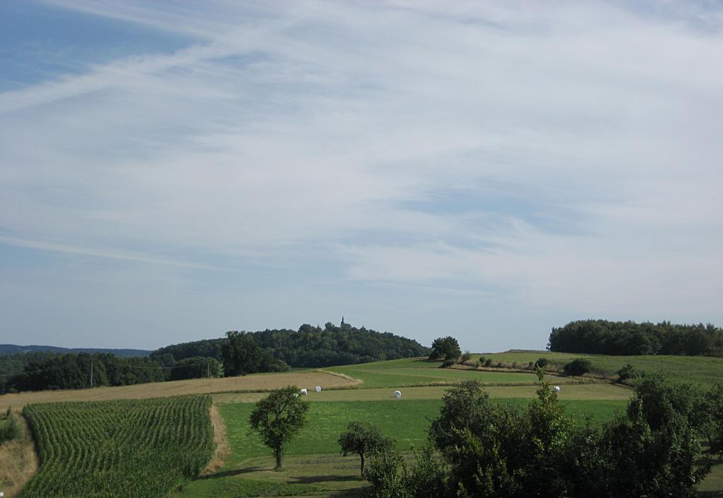 Hotel-Gasthof "Zum Bartl" Sulzbach-Rosenberg Zewnętrze zdjęcie